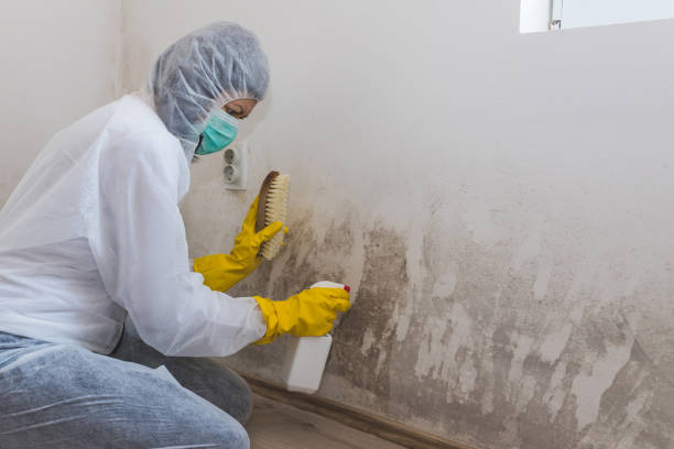 Best Water Damage Restoration  in Mbria, CA