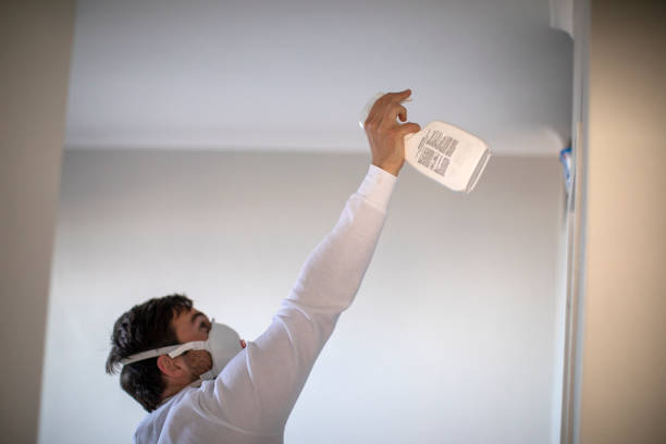 Best Crawl Space Mold Removal  in Mbria, CA