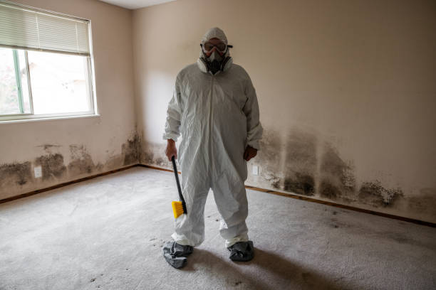 Crawl Space Mold Removal in Cambria, CA